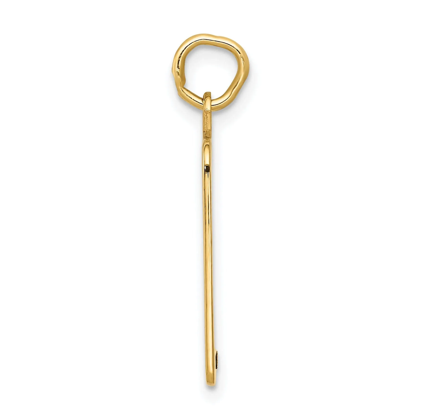 14k Yellow Gold Pink Birth Certificate Pendant