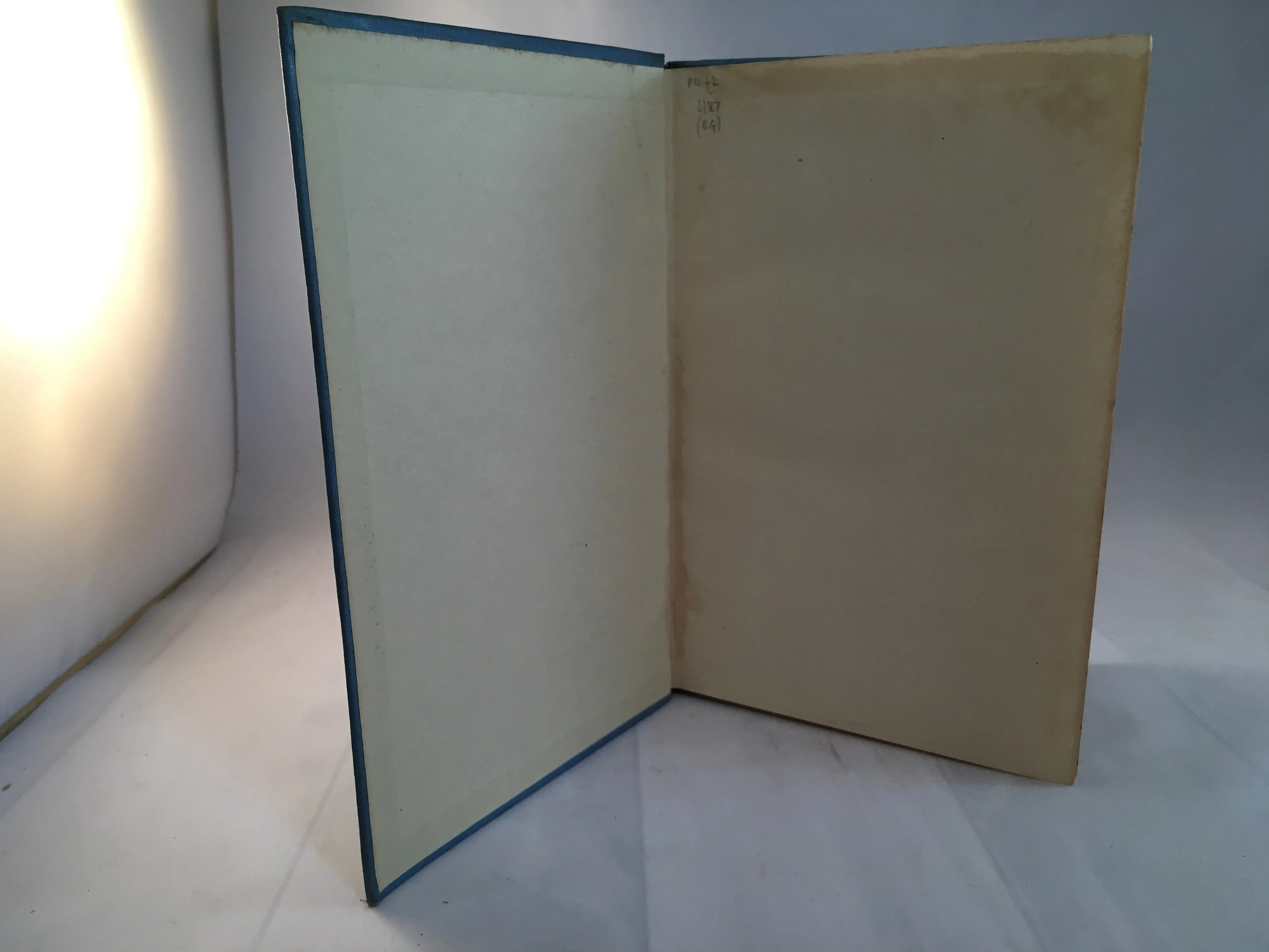 Algernon Blackwood - The Garden of Survival, Macmillan and Co 1918, First Edition, v.good condition