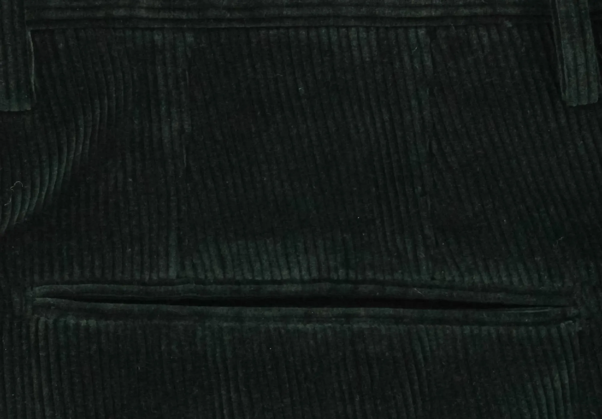 Incotex Green Pants