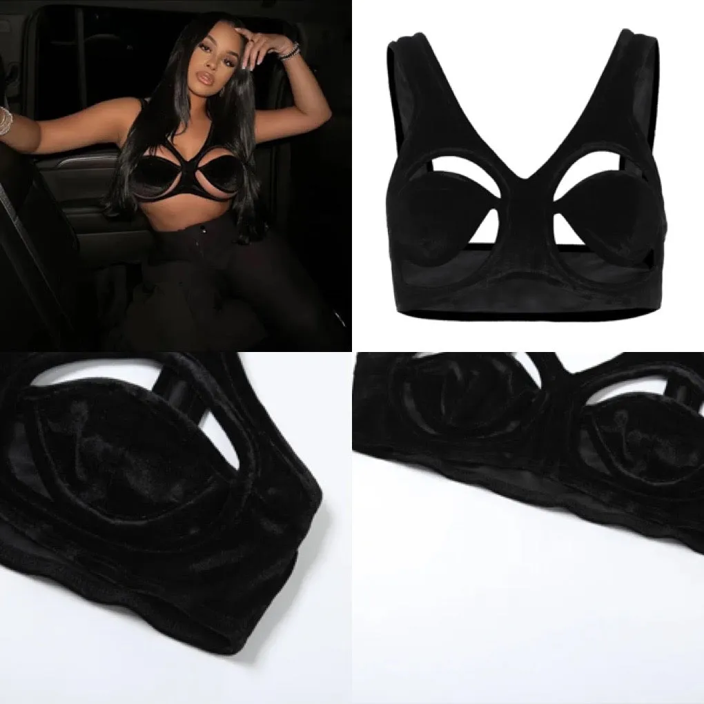 joie velvet top