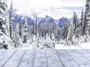 Kate White Snow Tree Winter Scenic Backdrop with Wood Floor
