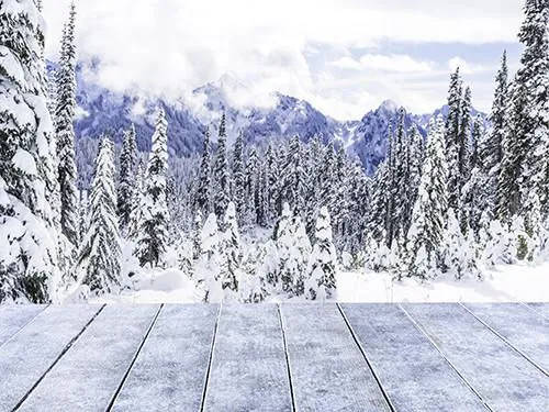 Kate White Snow Tree Winter Scenic Backdrop with Wood Floor