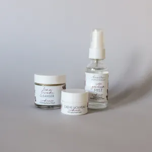 Radiance Collection | Petite Set