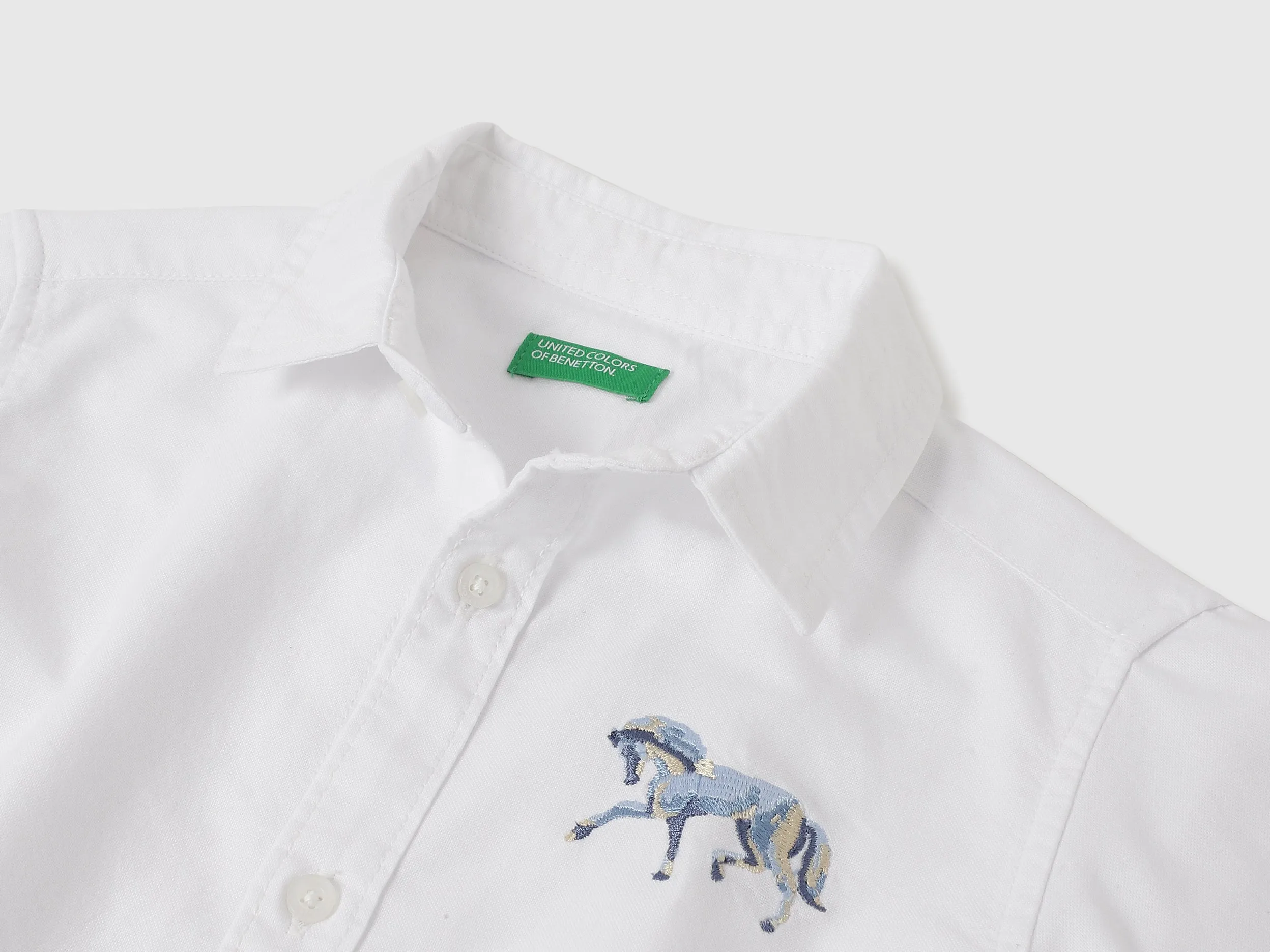 Regular Fit Spread Collar Solid Shirts