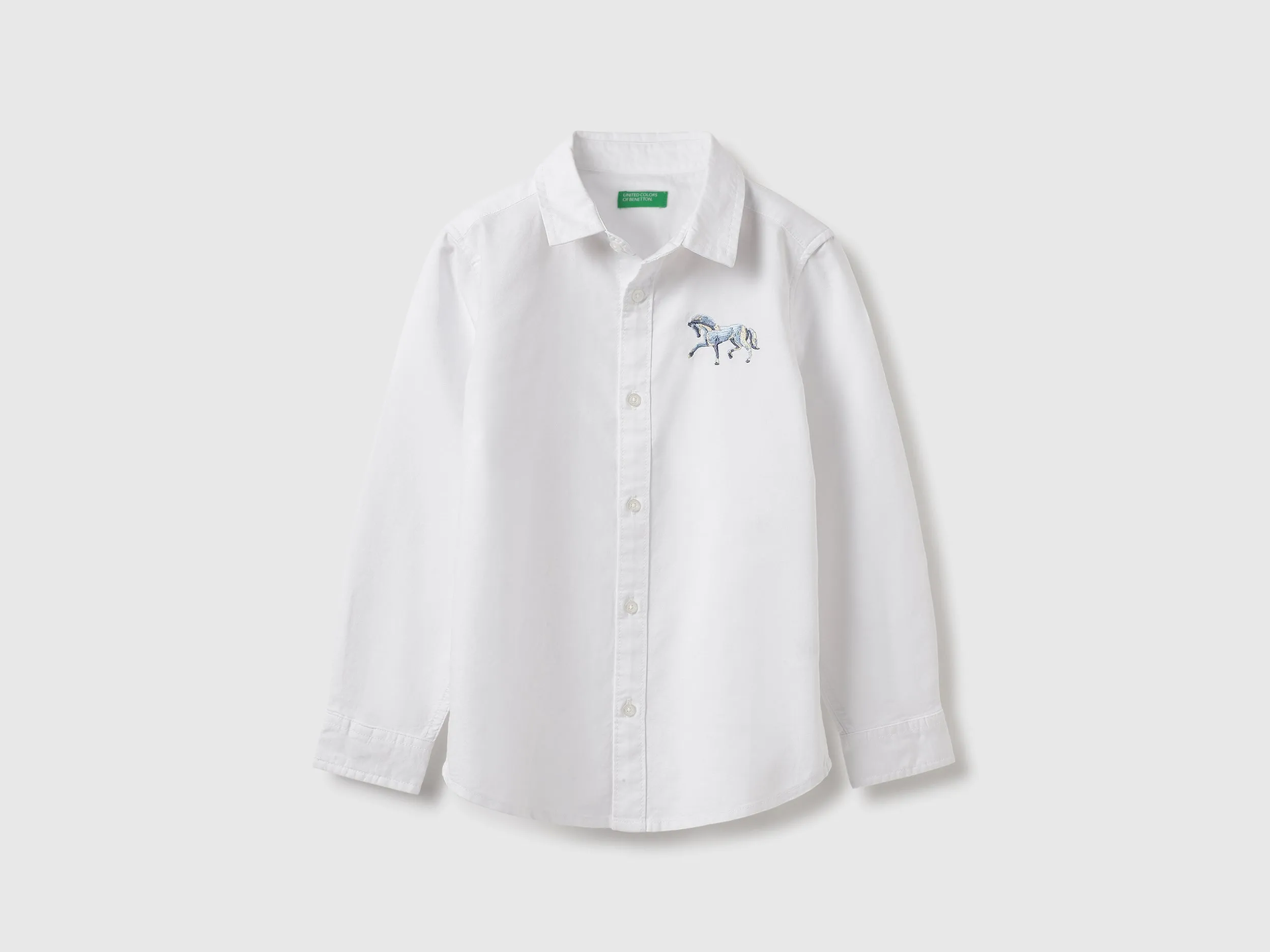 Regular Fit Spread Collar Solid Shirts