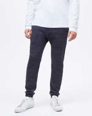 Tentree Atlas Sweatpant
